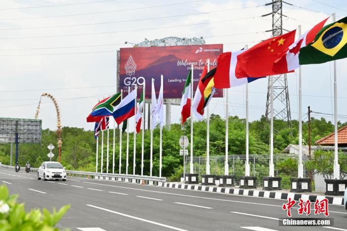 印尼巴厘島道路上G20成員國的國旗及歡迎海報。 中新社記者 李志華 攝