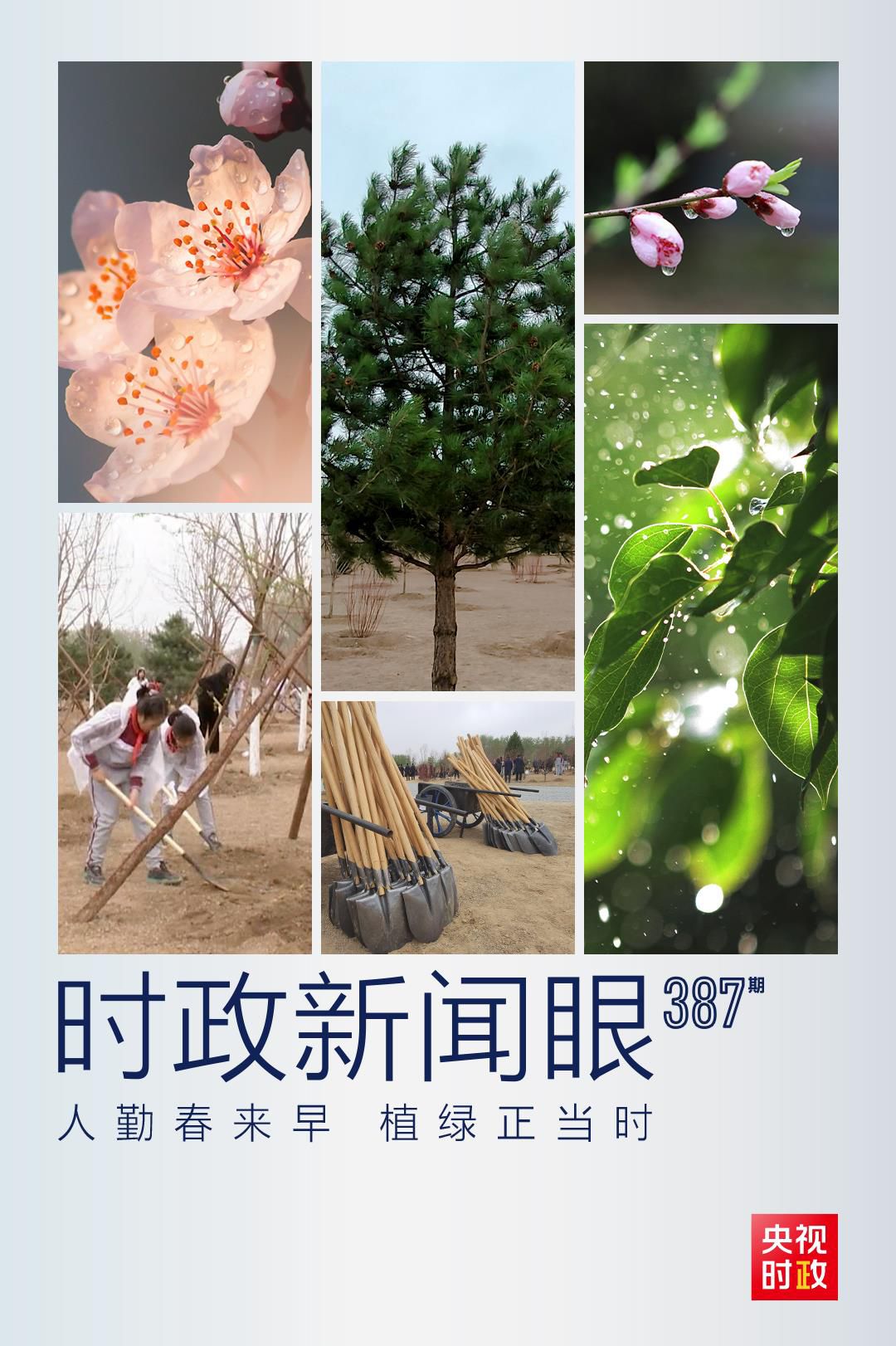 在今年首都義務植樹現場，習近平這三句話飽含深意